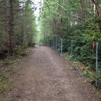 Mccormick Forest Off Leash Dog Area - Fence line with trail - Dog Parks Near Me - Gig Harbor, Washington