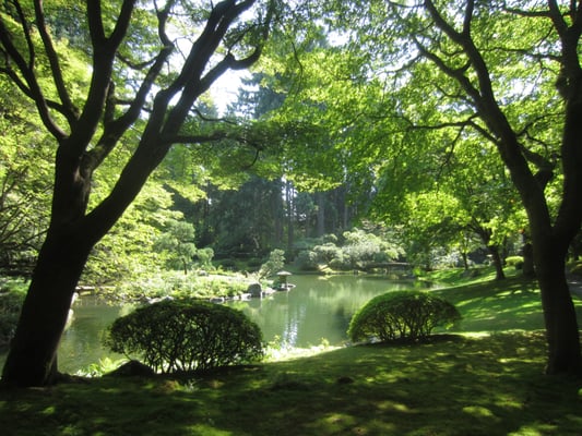 Nitobe Memorial Garden by null