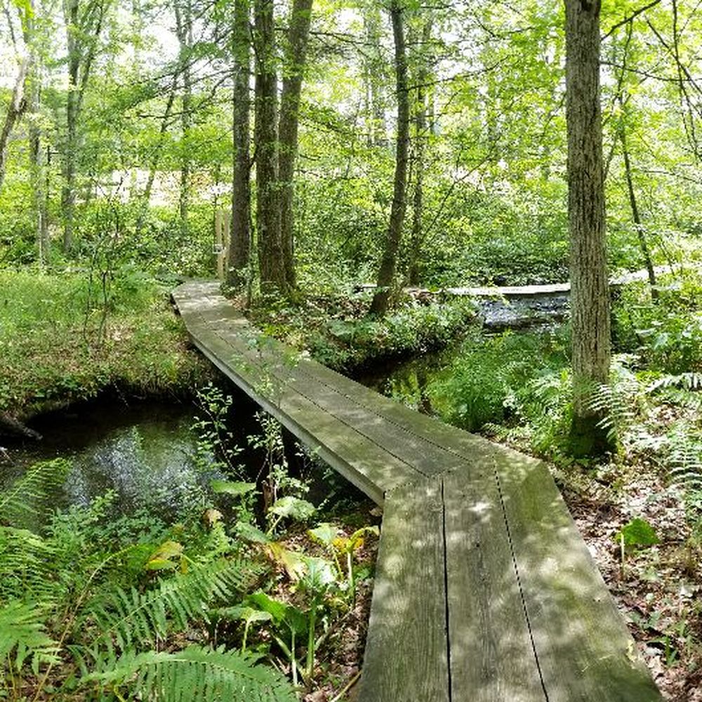 Norcross Wildlife Foundation - Absolutely beautiful. - Parks Near Me - Wales, Massachusetts