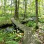 Photo of Norcross Wildlife Foundation