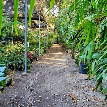 La Crescenta Nursery - Nurseries & Gardening Near Me - Glendale, California
