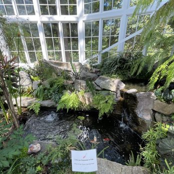 W W Seymour Conservatory - Inside - Pond (Sign: Do Not Throw Coins in Water) - Botanical Gardens Near Me - Tacoma, Washington W W Seymour Conservatory - Inside - Pond (Sign: Do Not Throw Coins in Water) - Botanical Gardens Near Me - Tacoma, Washington