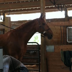 Sugar Wolfe Farm - Pretty girl on the cross ties waiting to be groomed! :)