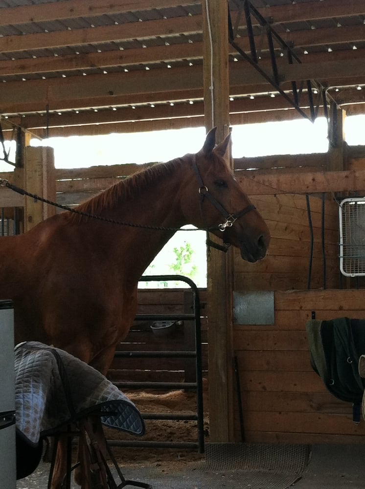 SUGAR WOLFE FARM Updated August 2024 902 E Cregor St, Bloomingdale