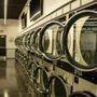 Photo of 307 Bubbles