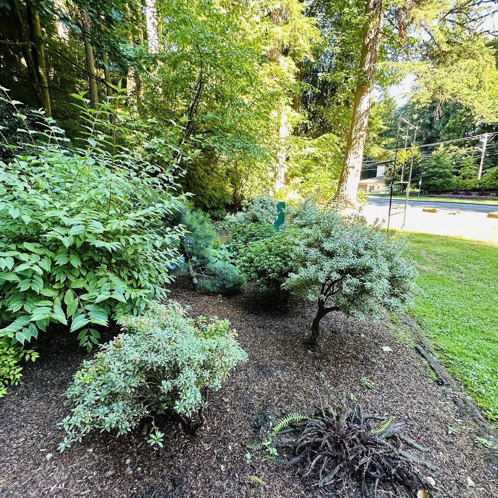 Forest Park - Parks Near Me - Everett, Washington Forest Park - Parks Near Me - Everett, Washington