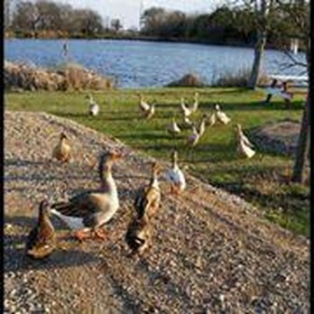 Waco RV Resort - RV Parks Near Me - Elm Mott, Texas