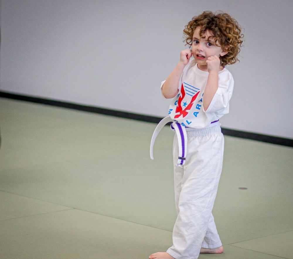 HERO MARTIAL ARTS 10 Photos 11229 Lebanon Rd, Mt. Juliet, Tennessee