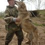 Photo of The Wolf Conservation Association