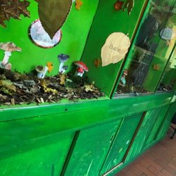 Haus Natur Und Umwelt - Haus der Natur und Umwelt dom prírody a životného prostredia - múzeum - Museum Berlin Deutschland, Nemecko