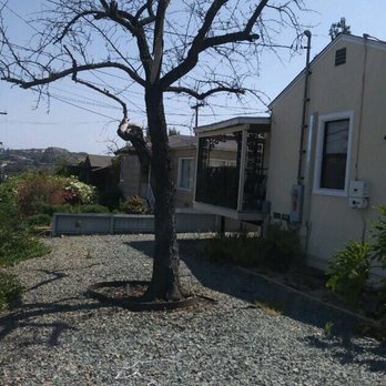 Charles Tree Service - Tree Services Near Me - Lemon Grove, California
