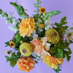 Campanula Design Studio Seattle Florist & Gift Baskets