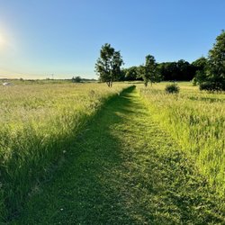 Lakewood Off-Leash Dog Area - Walking trails are well maintained in the summer season