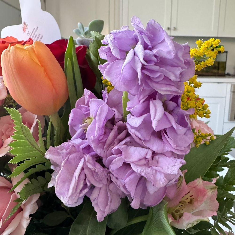 OC Flowers and Events - Florists Near Me - Irvine, California OC Flowers and Events - Florists Near Me - Irvine, California