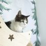 Photo of Cozy Cat Suites