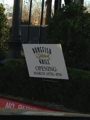 Bonefish Grill by null