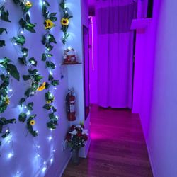 Abundance Spa