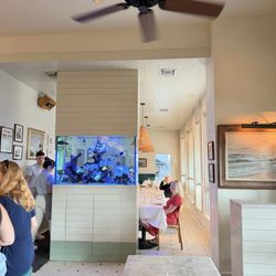 Clark's Oyster Bar - Austin - Inside Tropical Fish Tank