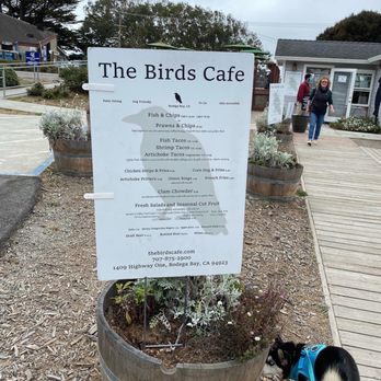 The Birds Cafe - Seafood Near Me - Bodega Bay, California