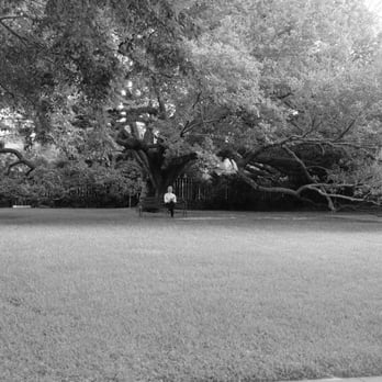 The Menil Collection - Art Museums Near Me - Houston, Texas The Menil Collection - Art Museums Near Me - Houston, Texas