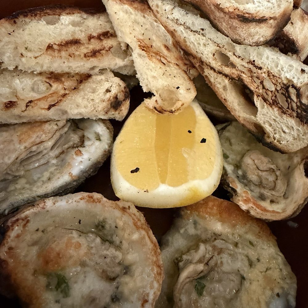 Bosc Modern Bar + Kitchen - Grilled oysters - New American Near Me - Tampa, Florida