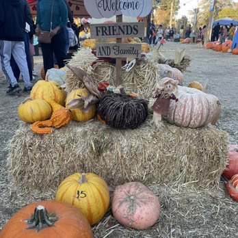 Queens Pumpkin Patch - Pumpkin Patches Near Me - Saratoga, California