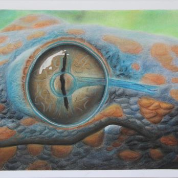 Drawn2Art - Art Schools Near Me - Redmond, Washington