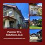 Photo of Painter Pro Solutions