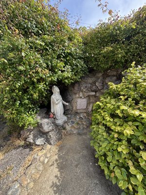 San Carlos Cathedral by null