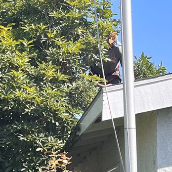 PRG Tree Care - Tree Services Near Me