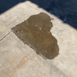 My oil leak, thanks Jiffy Lube! My oil leak, thanks Jiffy Lube!