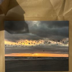 Seagulls Across the Sunset