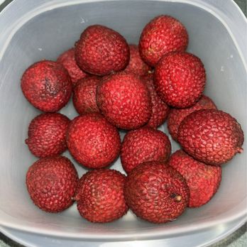 Ecogrove - "Sweet Tsai" Lychees - Fruits & Veggies Near Me - Davie, Florida