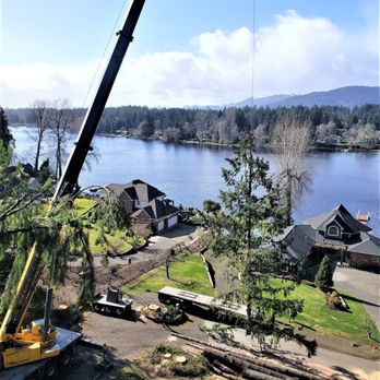 Dreamscapes Tree Service - Tree Services Near Me - Chehalis, Washington Dreamscapes Tree Service - Tree Services Near Me - Chehalis, Washington