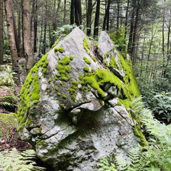 Butcher Branch Trail - Lots of cool rocks and moss.