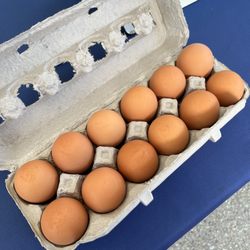 Fresh farm eggs from THREE SONS farm