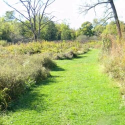Olentangy River Greenway - "Grassland" at Whetstone Park.