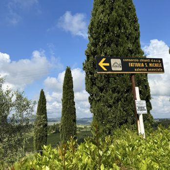 Fattoria San Michele a Torri - Spruce trees - Wineries Near Me - Scandicci, PO Fattoria San Michele a Torri - Spruce trees - Wineries Near Me - Scandicci, PO
