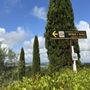 Photo of Fattoria San Michele a Torri