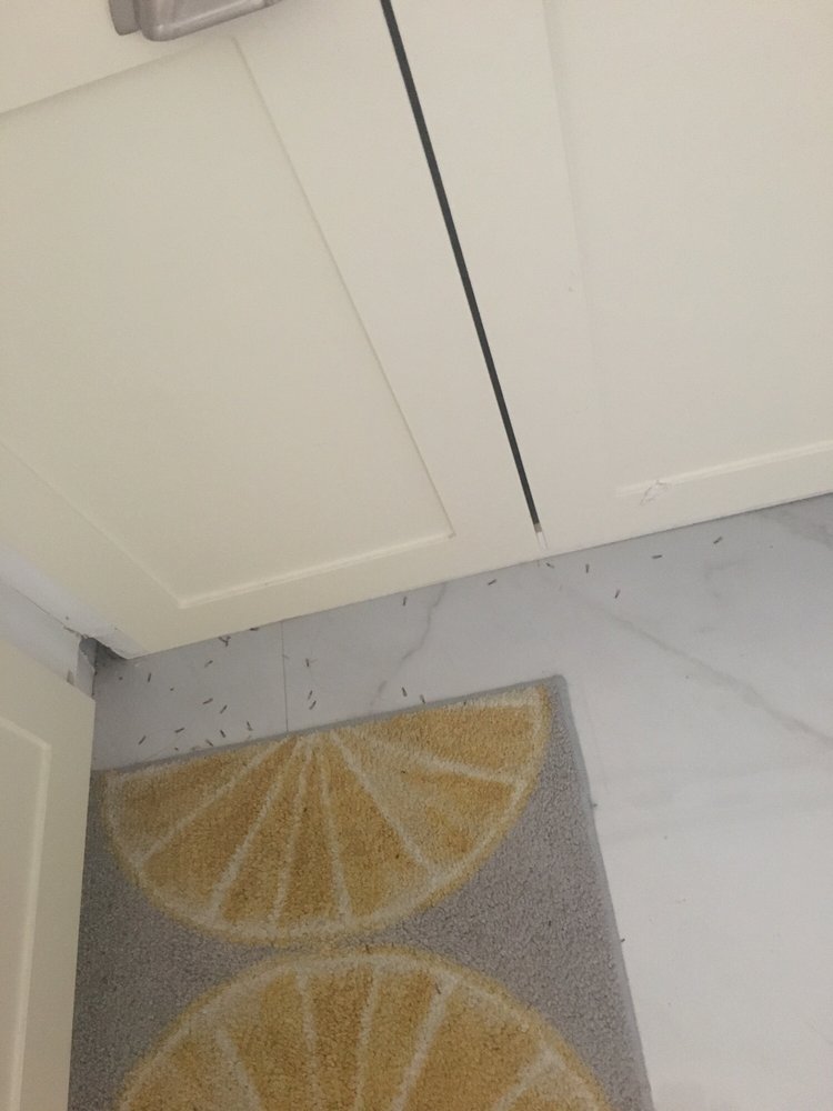 CONDOMINIUM ASSOCIATION 15 Reviews Apartments 555 NE 15th