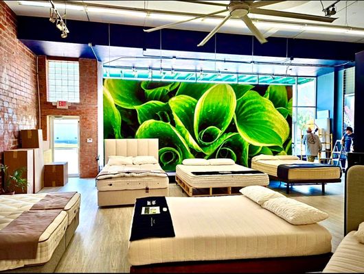 Houston Natural Mattress by null