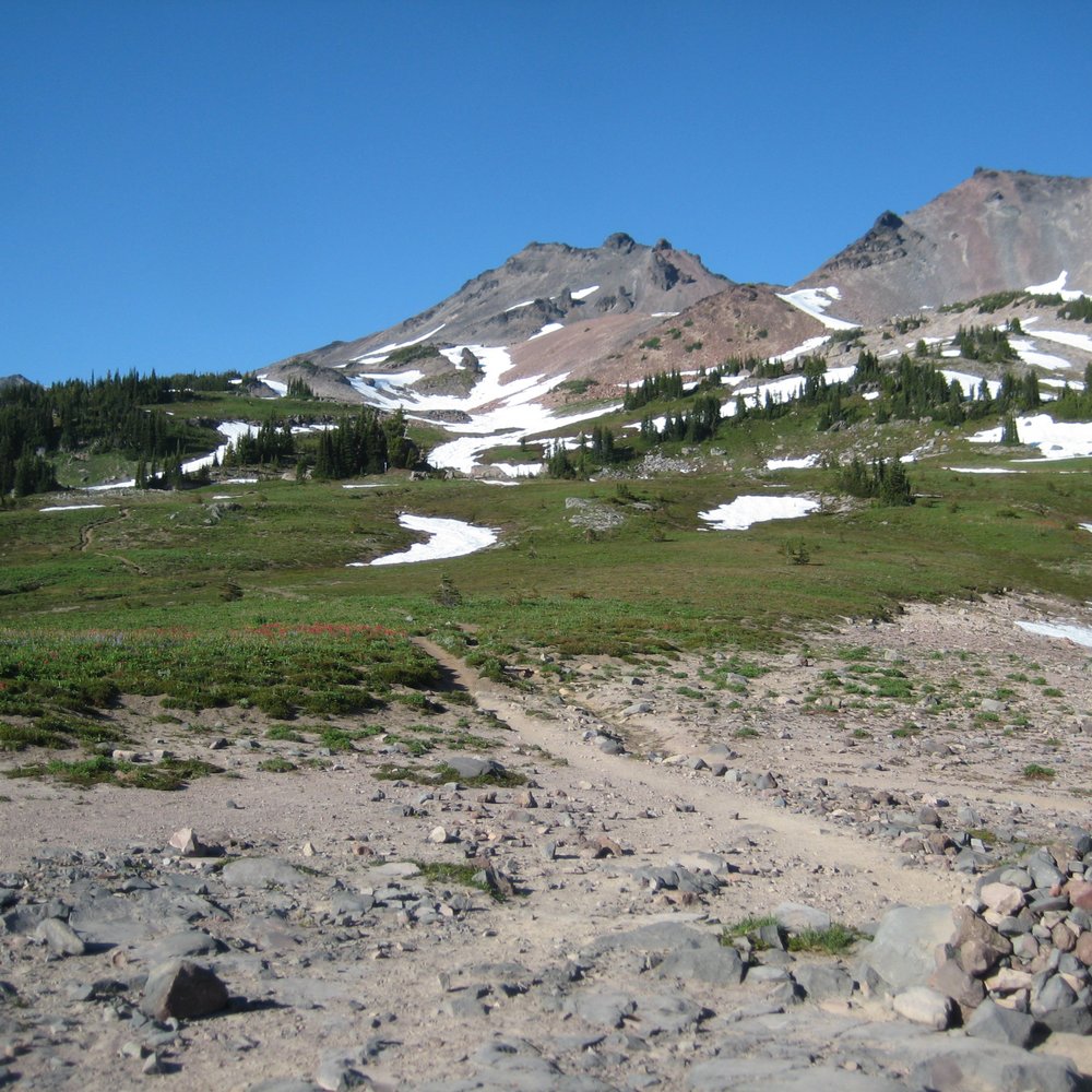 Snowgrass Flat Trail - Looking Toward Old Snowy - Hiking Near Me Snowgrass Flat Trail - Looking Toward Old Snowy - Hiking Near Me
