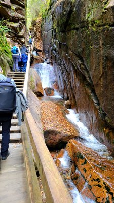 Flume Gorge by null