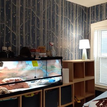 Teresa Stinaldi - Harry Potter theme kids bedroom. - Wallpapering Near Me - Chicago, Illinois Teresa Stinaldi - Harry Potter theme kids bedroom. - Wallpapering Near Me - Chicago, Illinois