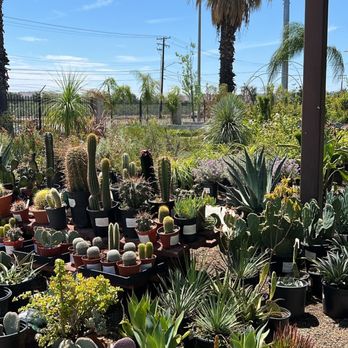 Parkview Nursery - Canyon Crest - Nurseries & Gardening Near Me - Riverside, California Parkview Nursery - Canyon Crest - Nurseries & Gardening Near Me - Riverside, California