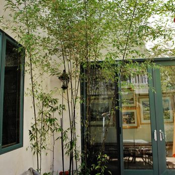 Koby's Garden Alchemy - An elegant solution to a bare courtyard corner while still keeping all views open: bamboo in the form or ebony rods & emerald lace. - Landscape Architects or Designers Near Me Koby's Garden Alchemy - An elegant solution to a bare courtyard corner while still keeping all views open: bamboo in the form or ebony rods & emerald lace. - Landscape Architects or Designers Near Me