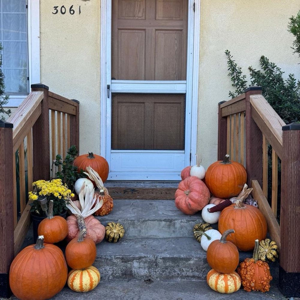 Pumpkin patch at home - My front porch great job - Photo Booth Rentals Near Me