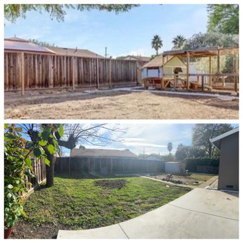 Bay Hauling Junk Removal - Before and after. Storage shed in the corner, not part of the coup. - Junk Removal & Hauling Near Me Bay Hauling Junk Removal - Before and after. Storage shed in the corner, not part of the coup. - Junk Removal & Hauling Near Me