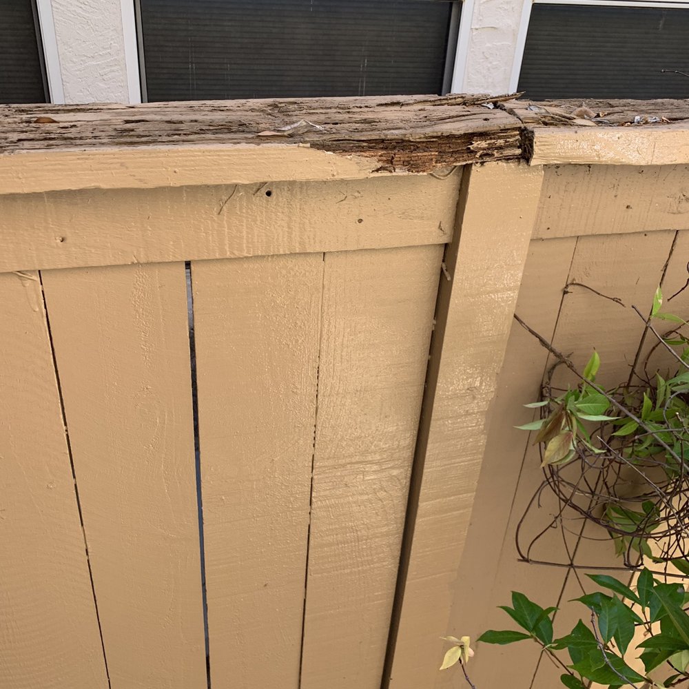 After two visits...does it look repaired?