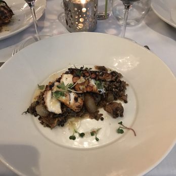 Sel - Octopus entree was delicious! - New American Near Me - Scottsdale, Arizona Sel - Octopus entree was delicious! - New American Near Me - Scottsdale, Arizona